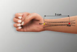 course-image