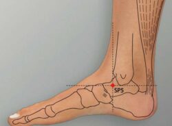 course-image