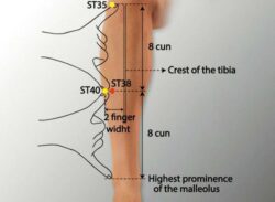 course-image