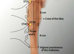 course-image