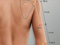 course-image