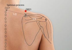 course-image