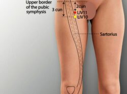 course-image