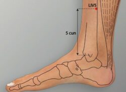 course-image