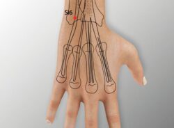 course-image