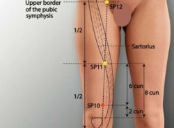 course-image