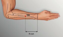 course-image