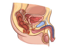 course-image